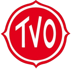 TV Ochsenfurt Logo.png